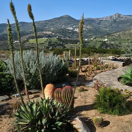 Joy With Private Pool, Close To Naoussa וילה