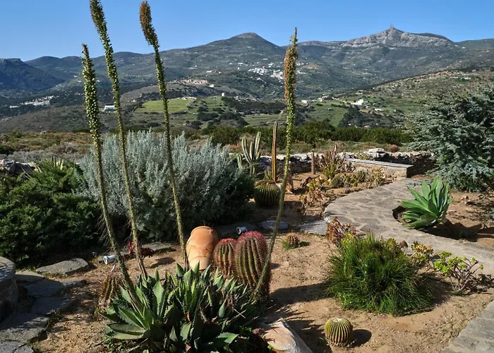 Joy With Private Pool, Close To Naoussa Βίλα